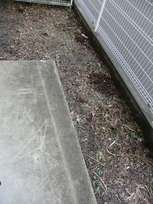 16/26 その他画像