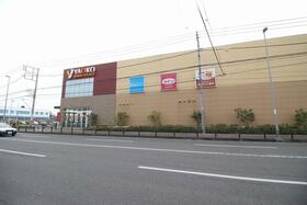 7/15 その他画像