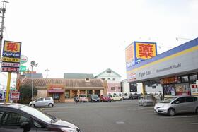 8/15 その他画像