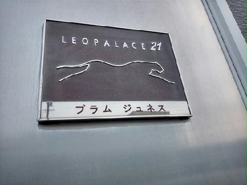 12/20 その他画像