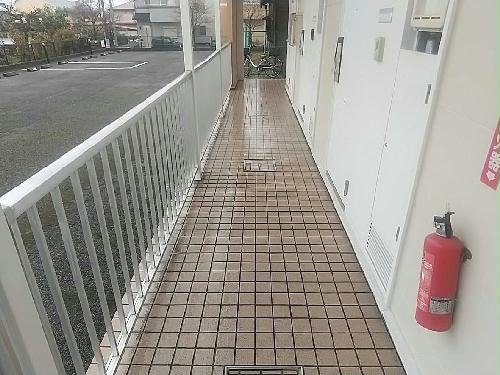 6/14 その他画像