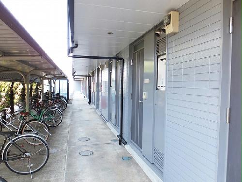 3/14 その他画像