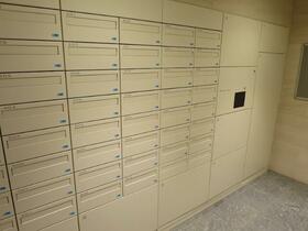 15/16 その他画像