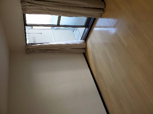 14/22 その他画像