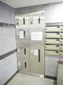 15/16 その他画像