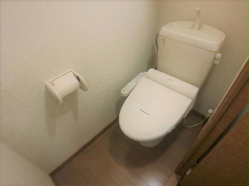 8/15 その他画像