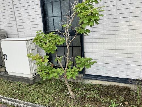 11/14 その他画像