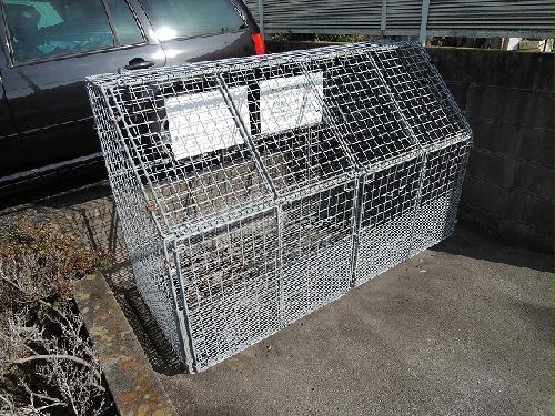 11/14 その他画像