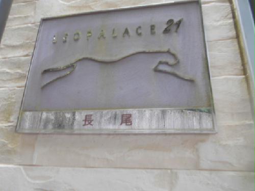 11/16 その他画像