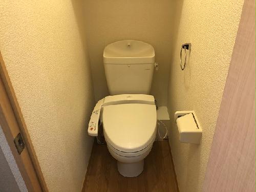 7/23 その他画像