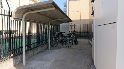 12/24 その他画像