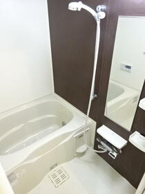 5/15 その他画像