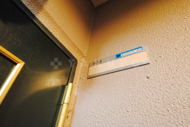 15/22 その他画像