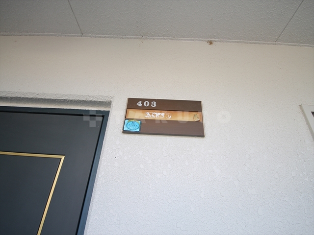 17/24 その他画像