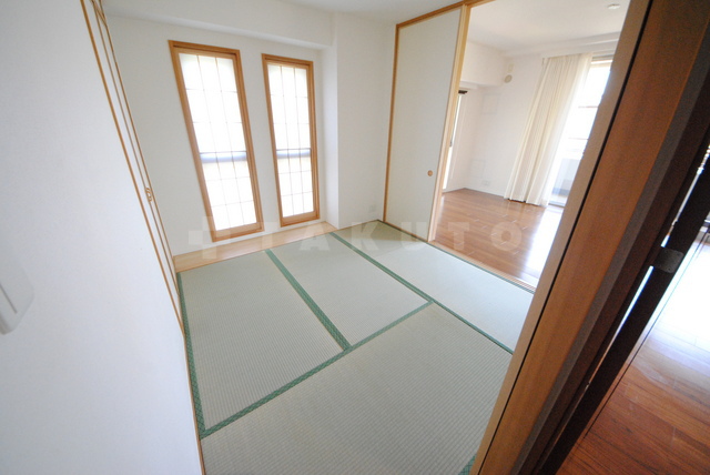 29/30 その他画像