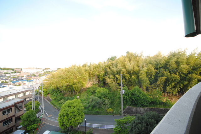 29/30 その他画像