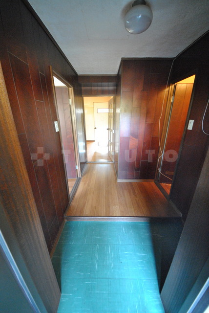 13/19 その他画像