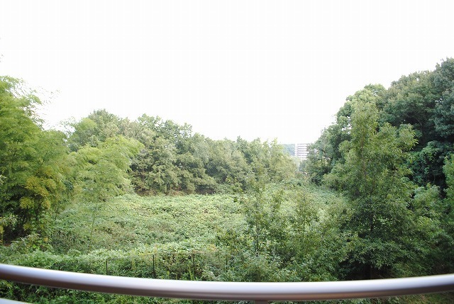 28/30 その他画像