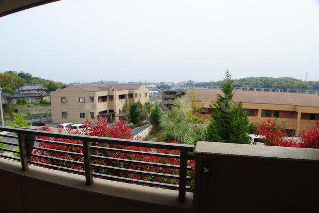 21/29 その他画像