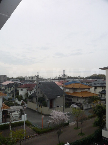 23/29 その他画像