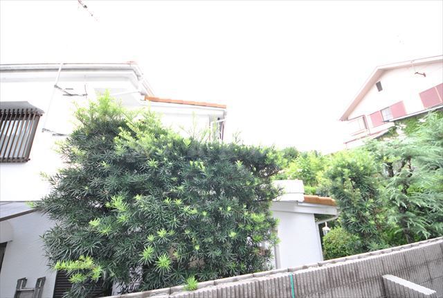 29/30 その他画像