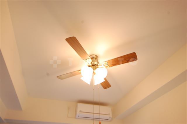 19/29 その他画像