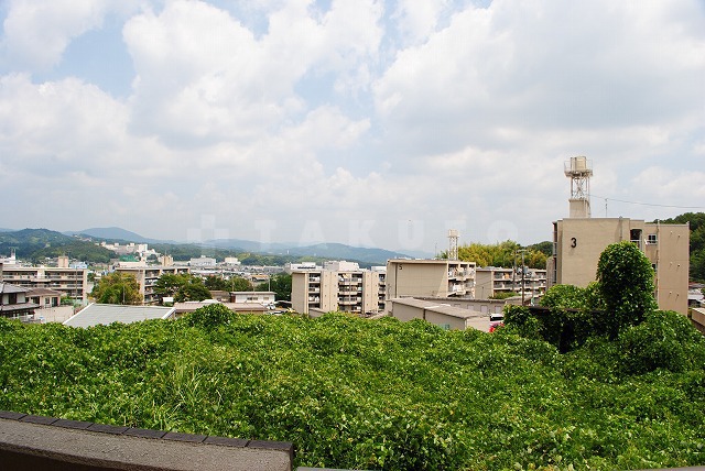 17/23 その他画像