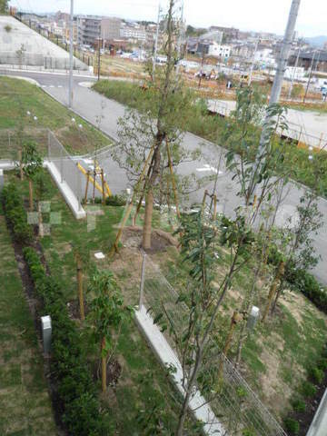 28/30 その他画像