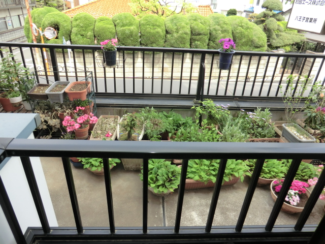 16/30 その他画像