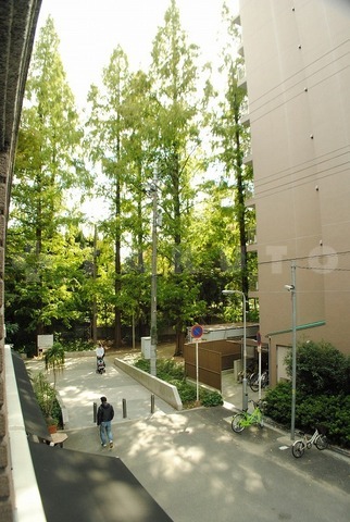 12/18 その他画像