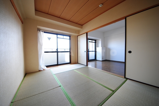 19/29 その他画像