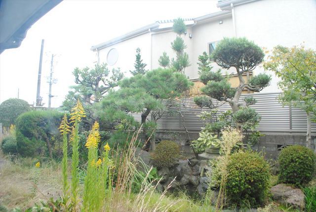 16/24 その他画像