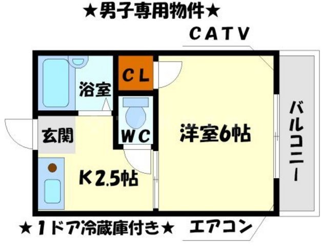 メゾン土井の間取り