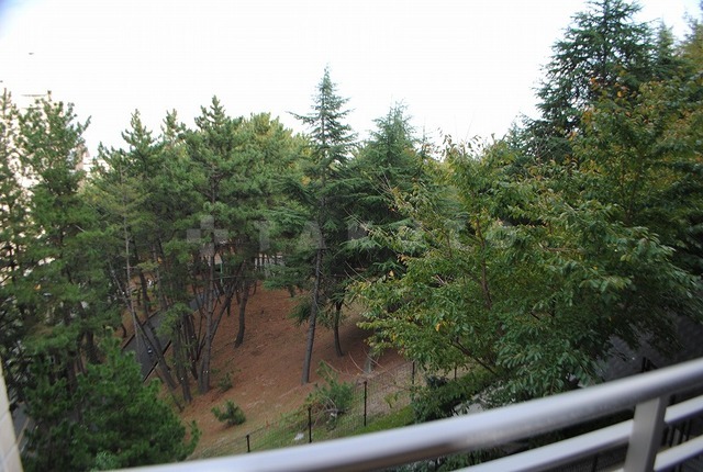 29/30 その他画像