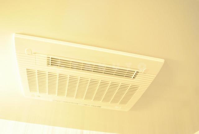 19/26 その他画像