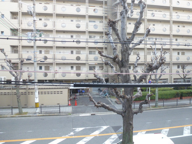 13/24 その他画像