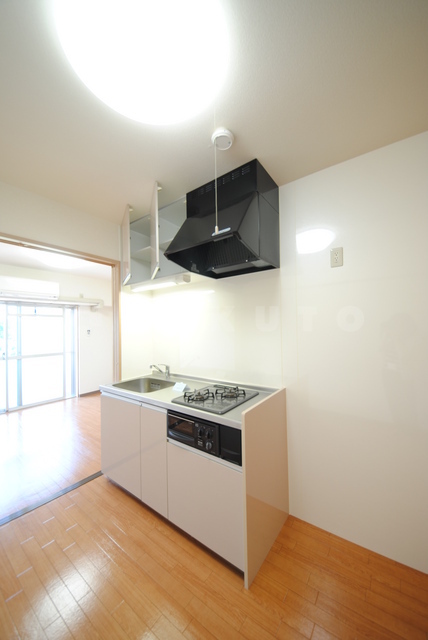 29/30 その他画像