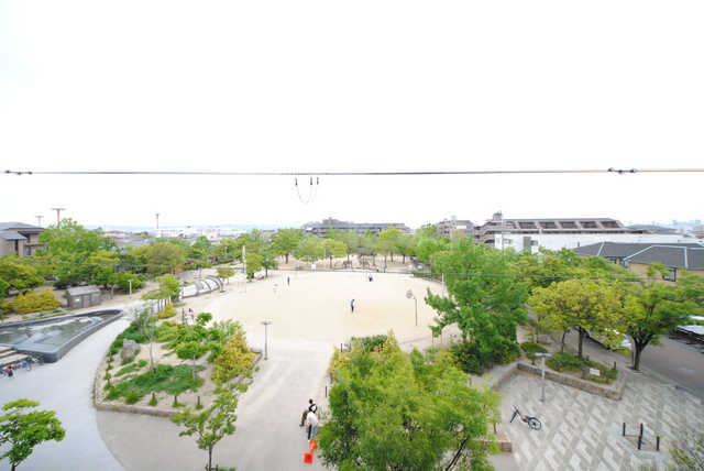 21/29 その他画像