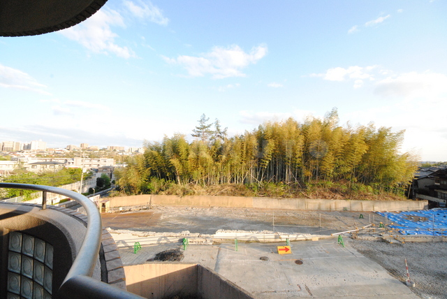 15/27 その他画像