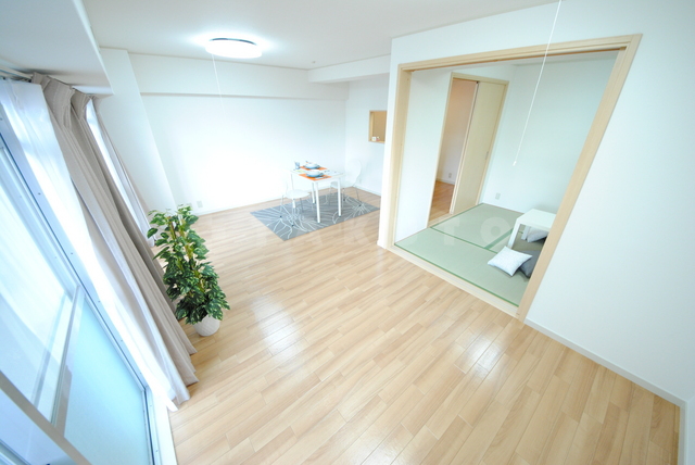 15/24 その他画像