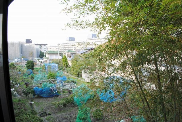 17/20 その他画像