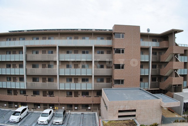 29/30 その他画像