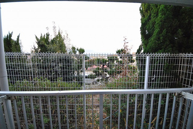 15/26 その他画像