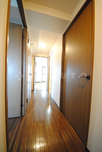 19/29 その他画像