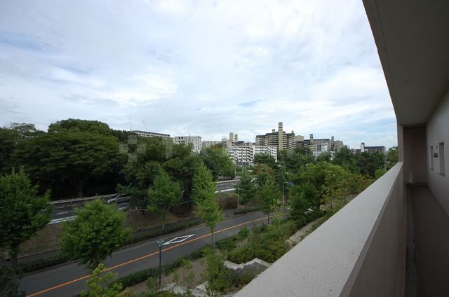 29/30 その他画像