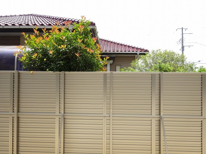 14/20 その他画像