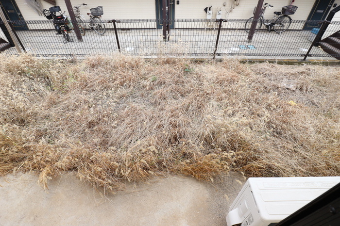 13/15 その他画像