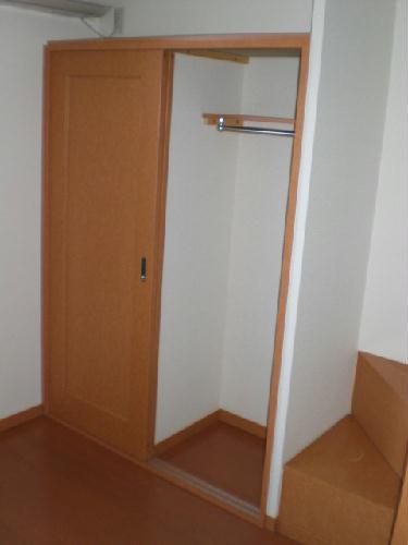 11/20 その他画像