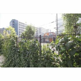 13/16 その他画像