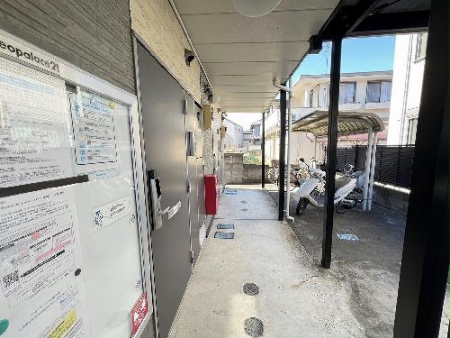 11/14 その他画像